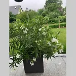 Διαμέρισμα Gemuetliche Im Hunsrueck Dill