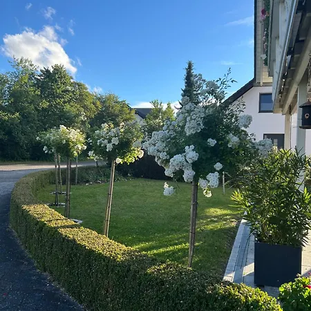 Gemuetliche Im Hunsrueck 公寓