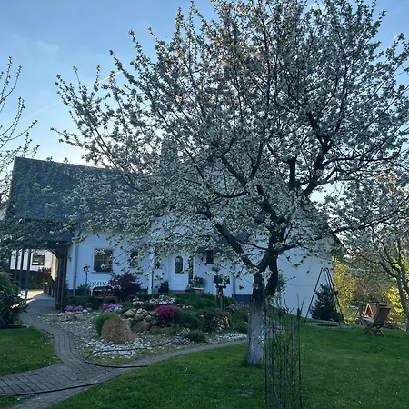 Gemuetliche Im Hunsrueck Διαμέρισμα *