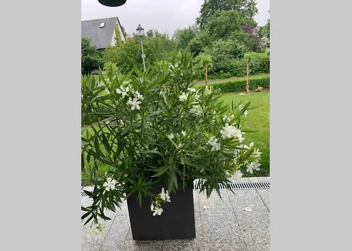 Lejlighed Gemuetliche Im Hunsrueck Dill