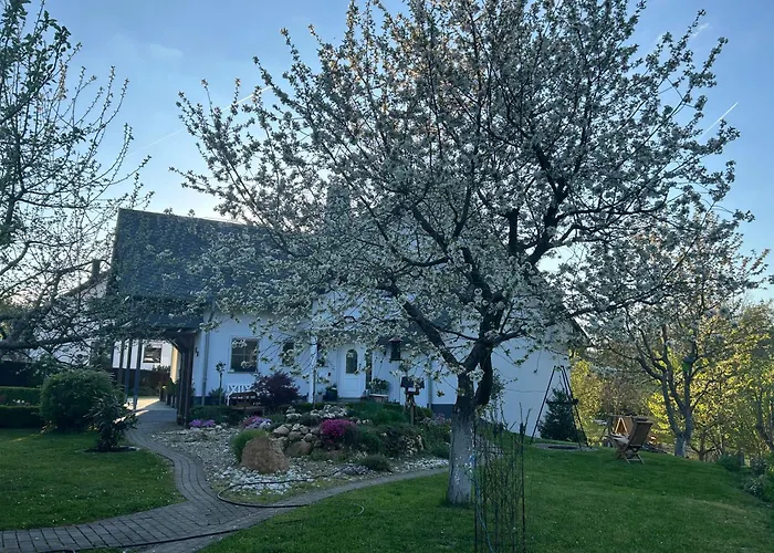 Gemuetliche Im Hunsrueck Lejlighed *