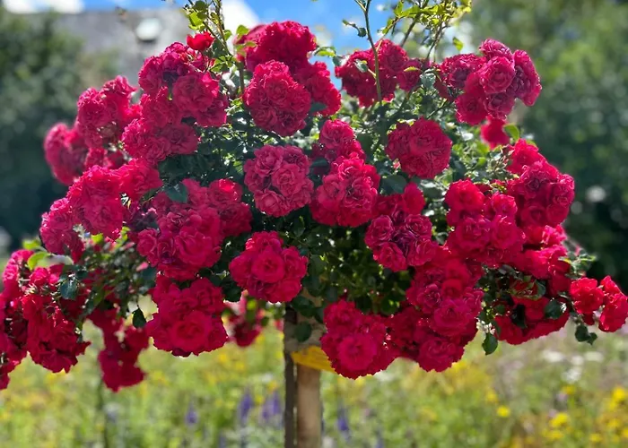 Lejlighed Gemuetliche Im Hunsrueck Dill