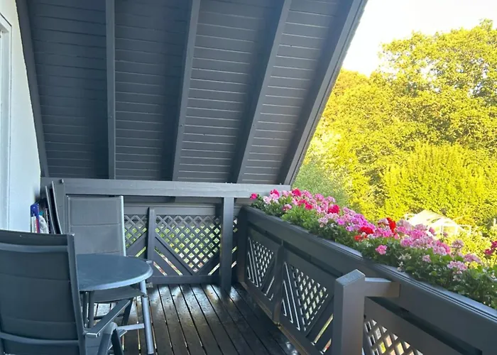 Gemuetliche Im Hunsrueck Dill